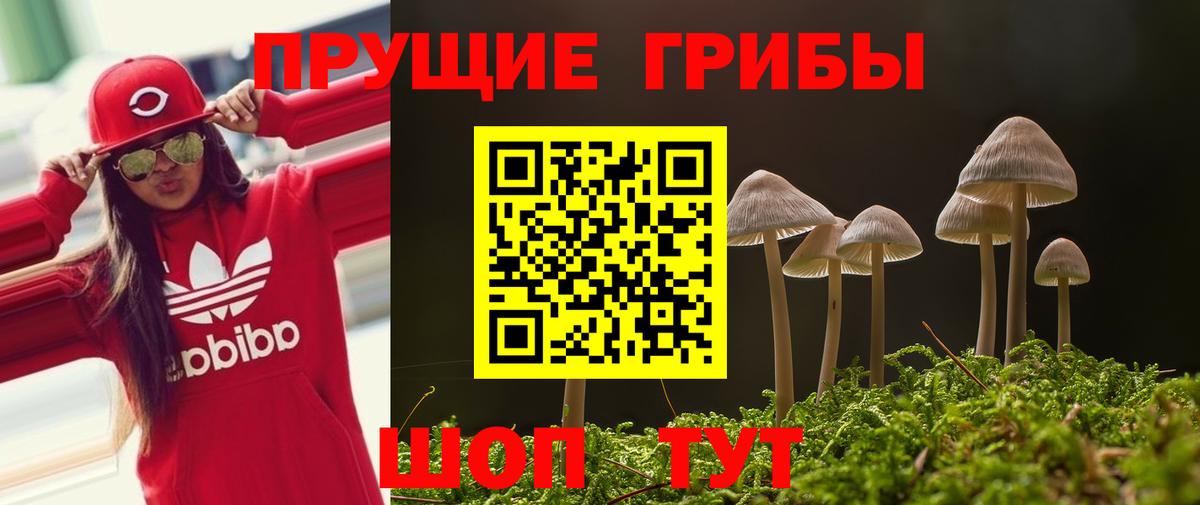 Галлюциногенные грибы GOLDEN TEACHER Джанкой